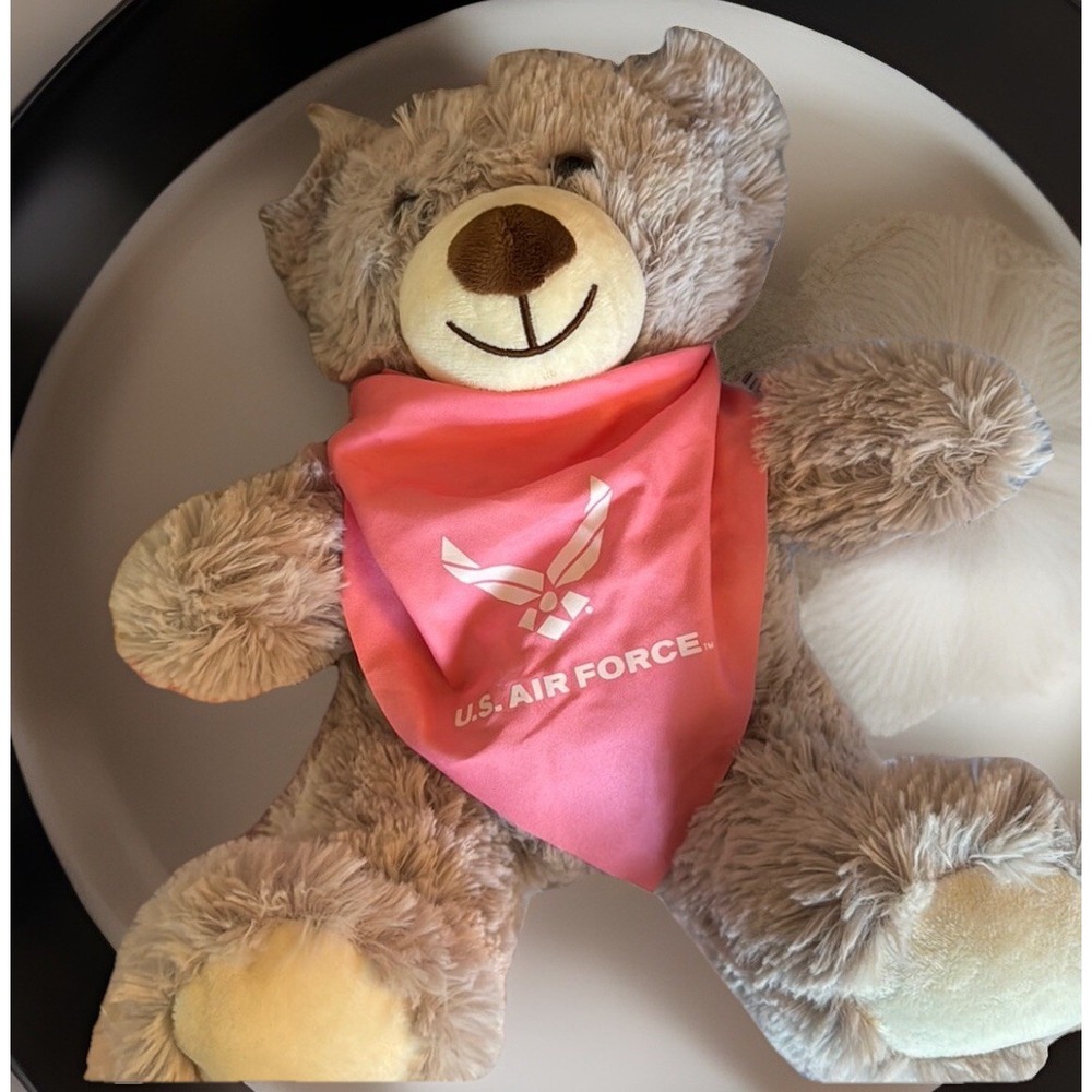 Air‎ Force plush Bear - 8" pink bandana New